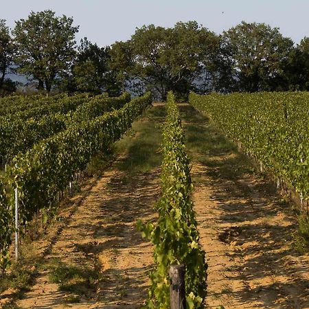 Agriturismo Le Baccane Vinci Exteriör bild
