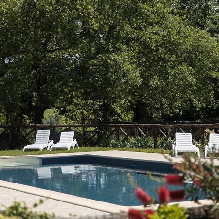 Agriturismo Le Baccane Vinci Exteriör bild