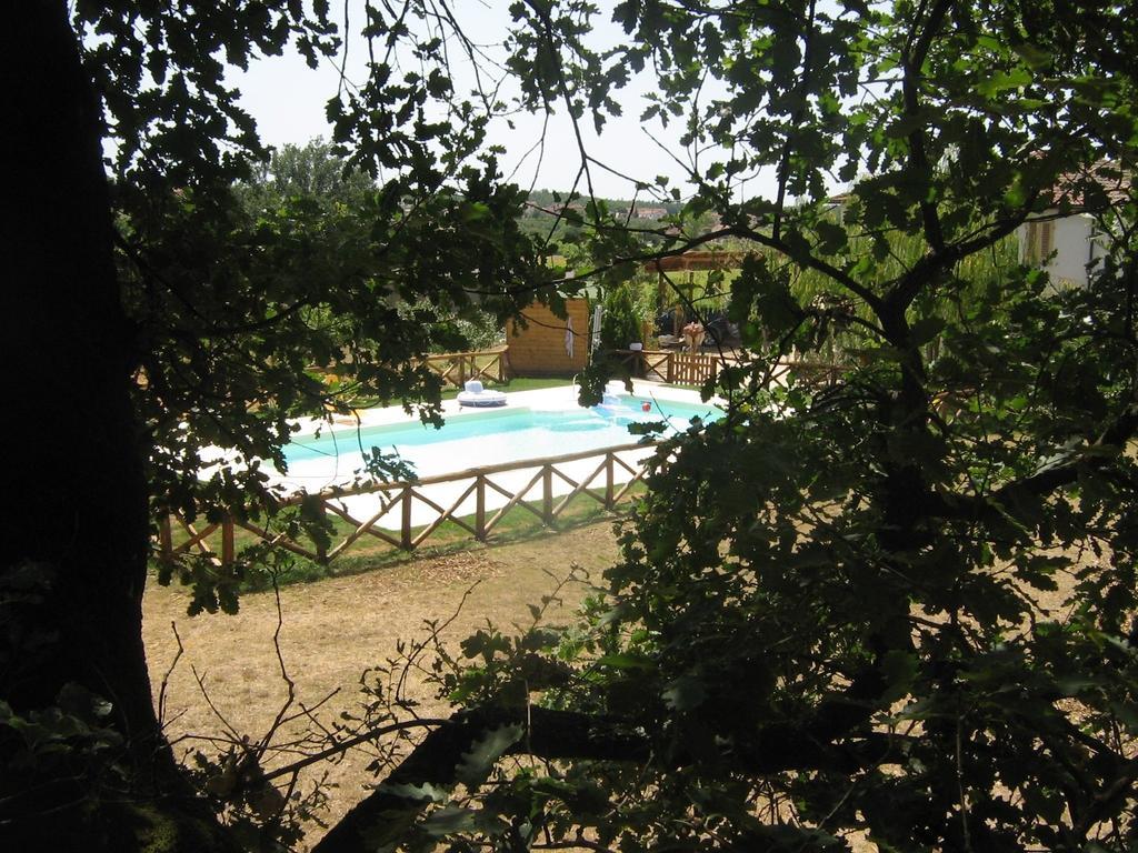 Agriturismo Le Baccane Vinci Exteriör bild