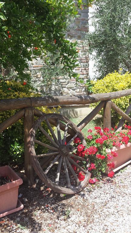 Agriturismo Le Baccane Vinci Exteriör bild
